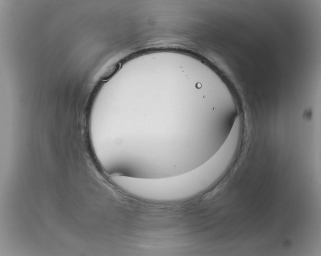 X0000113951277200910231958