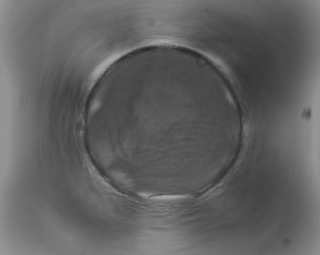 X0000113951279200910231958