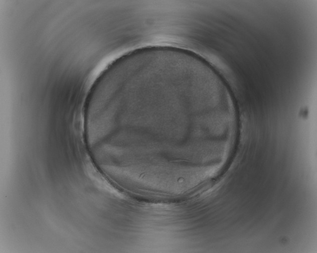 X0000113951280200910231958
