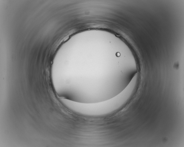 X0000113951281200910231958