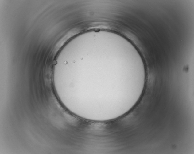 X0000113951282200910231958