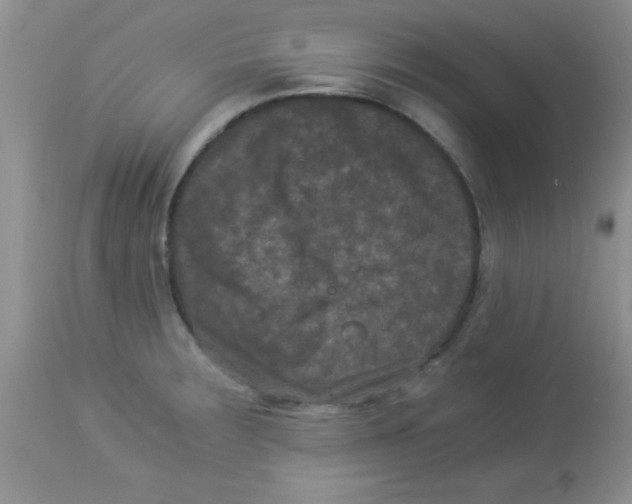 X0000113951283200910231958
