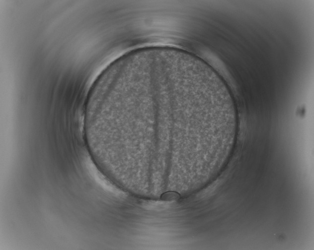 X0000113951284200910231958