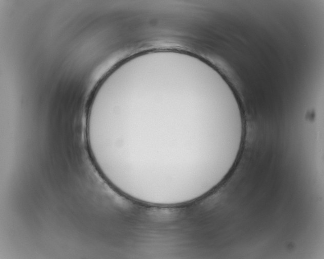 X0000113951286200910231958