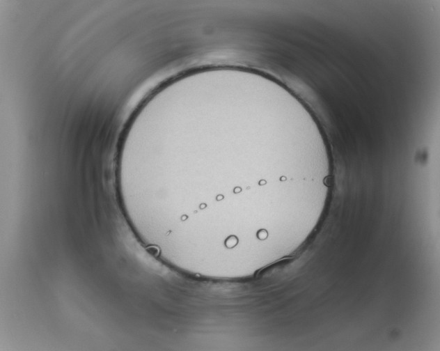 X0000113951288200910231958