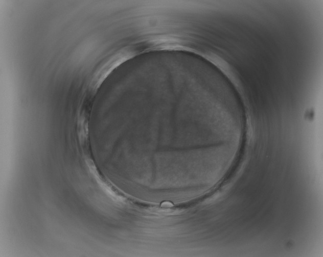 X0000113951289200910231958