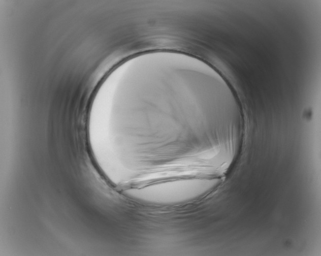 X0000113951291200910231958