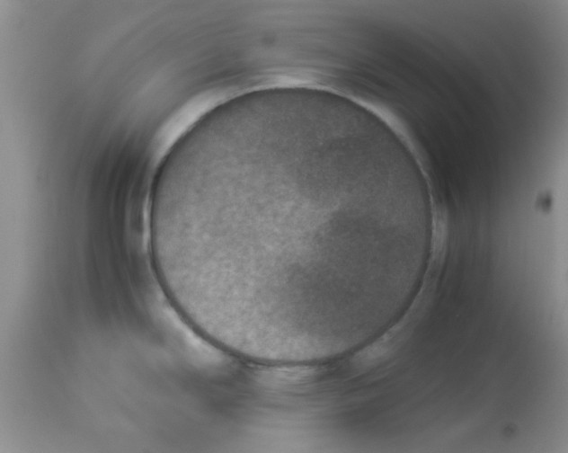 X0000113951294200910231958