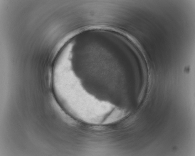 X0000113951295200910231958