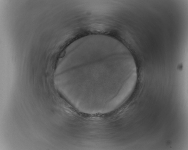 X0000113951297200910231957