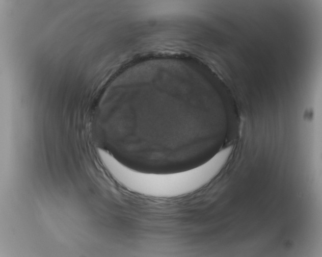 X0000113951298200910231957