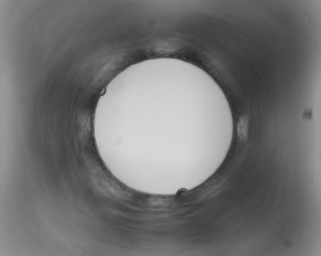 X0000113951299200910231957