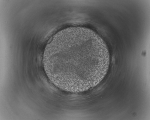 X0000113951300200910231957