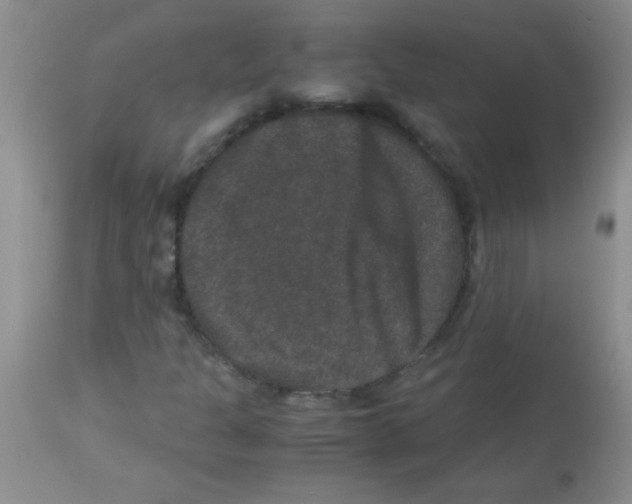 X0000113951301200910231957
