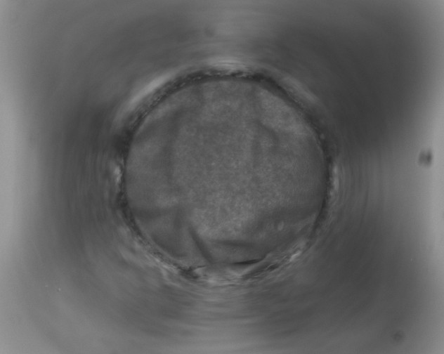 X0000113951302200910231957