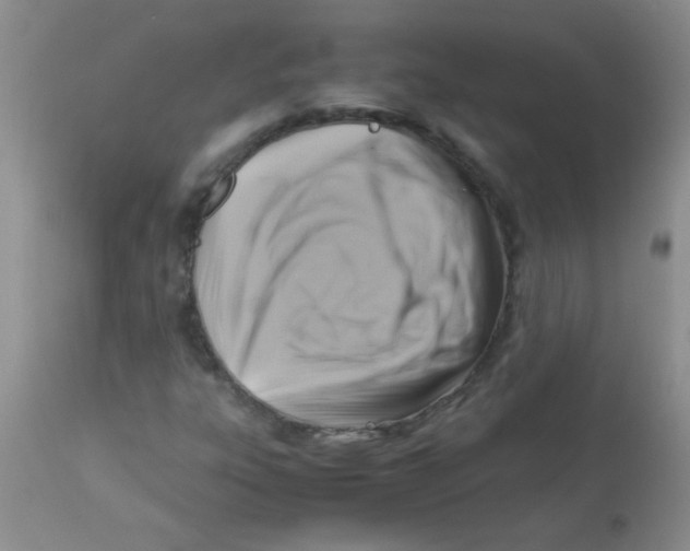 X0000113951303200910231957