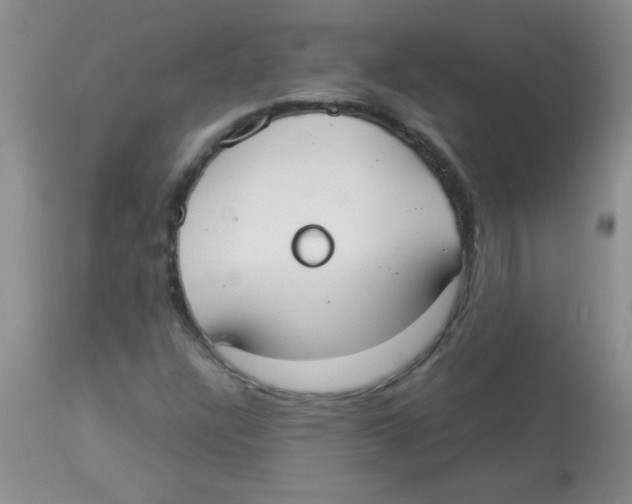 X0000113951304200910231957