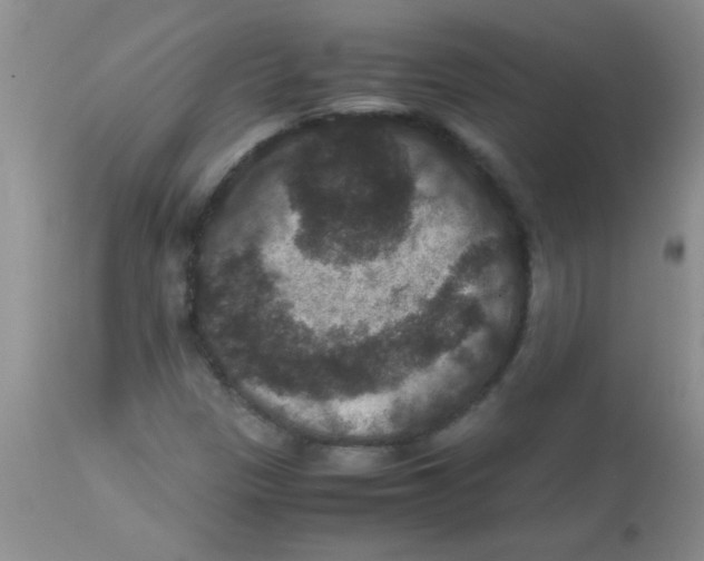 X0000113951305200910231957