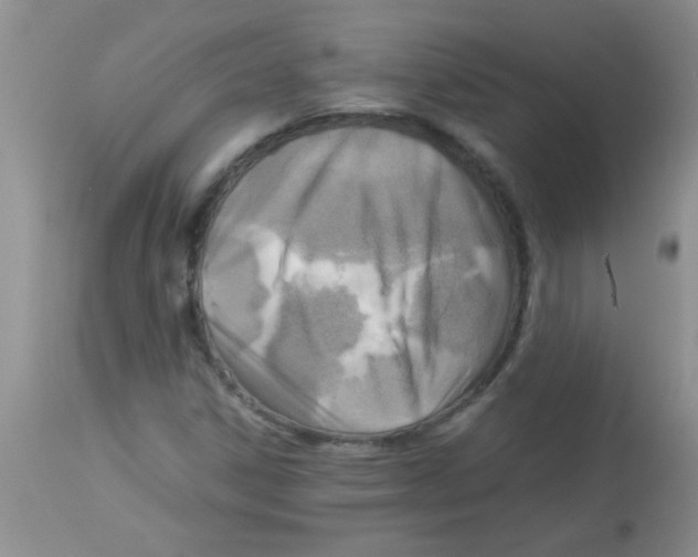 X0000113951306200910231957