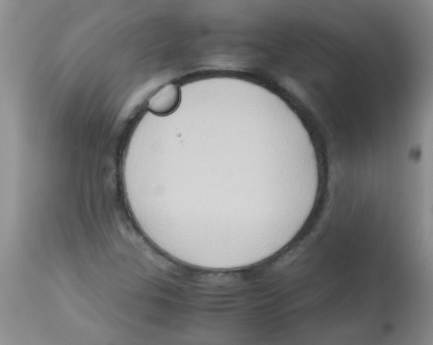 X0000113951307200910231957