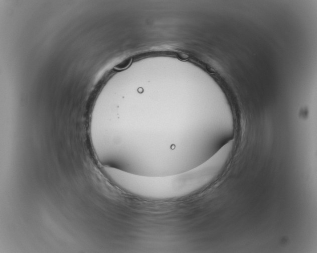 X0000113951308200910231957