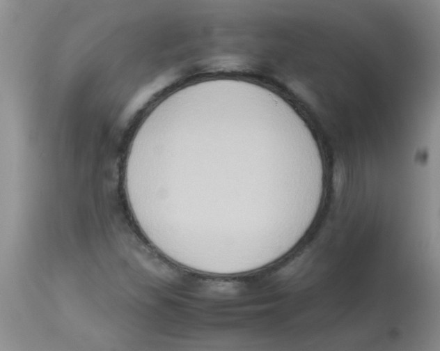 X0000113951309200910231957