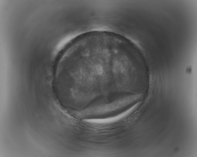 X0000113951311200910231957