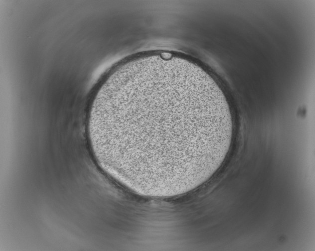 X0000113951312200910231957