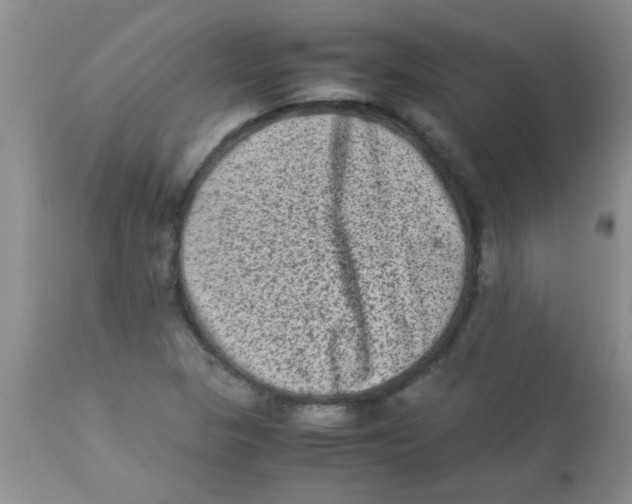 X0000113951313200910231957