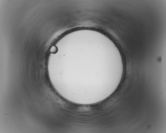 X0000113951315200910231957