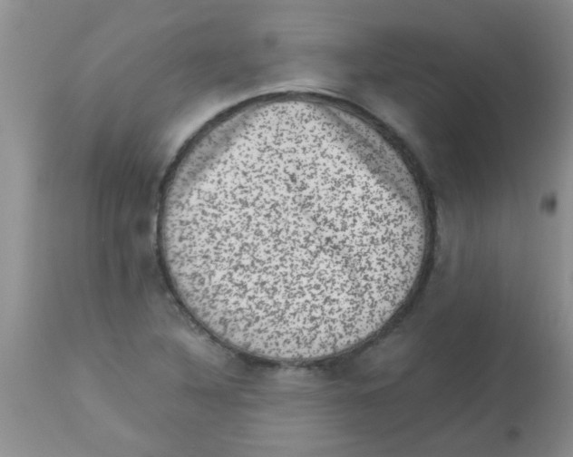 X0000113951316200910231957