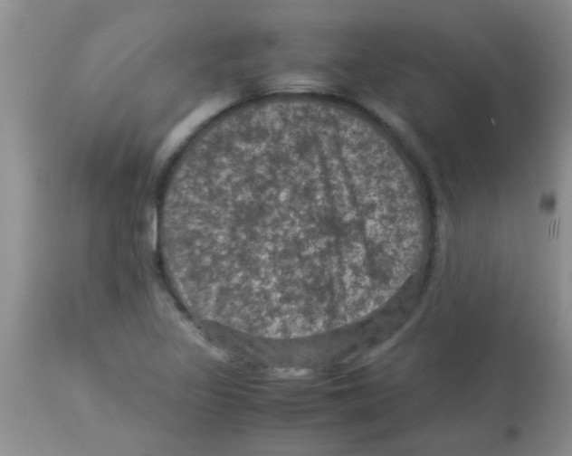 X0000113951317200910231957
