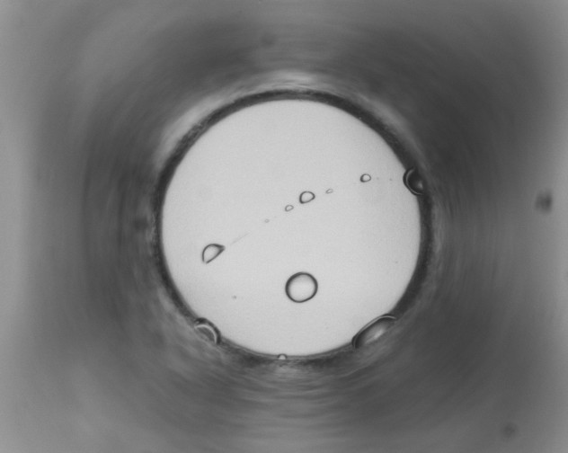 X0000113951318200910231957