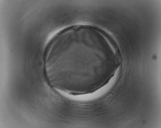 X0000113951319200910231957