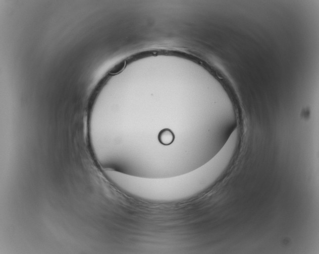 X0000113951320200910231957