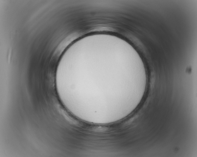 X0000113951321200910231957