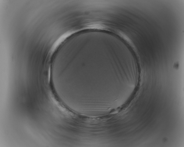 X0000113951323200910231957