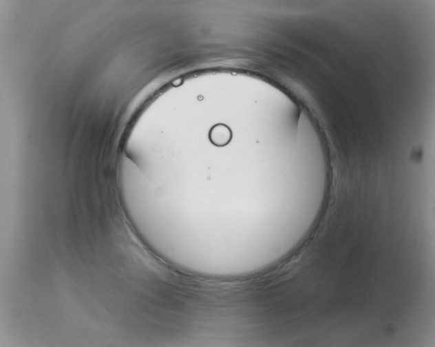 X0000113951324200910231957