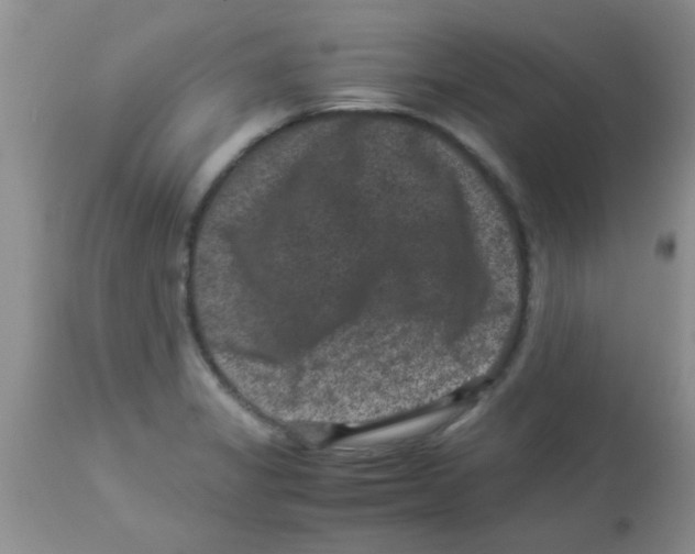 X0000113951325200910231957