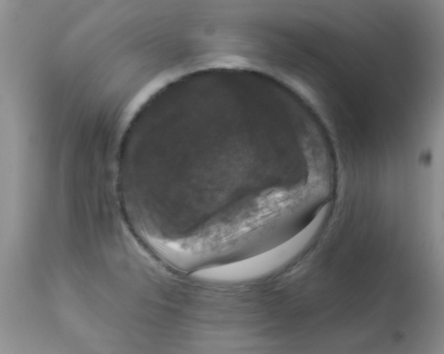 X0000113951326200910231957