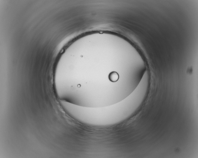 X0000113951328200910231957