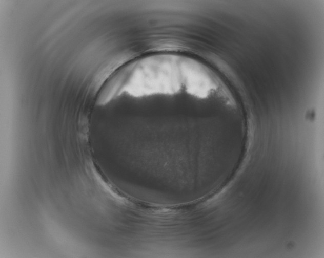 X0000113951329200910231957