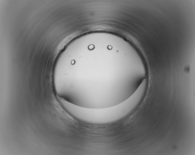 X0000113951330200910231957