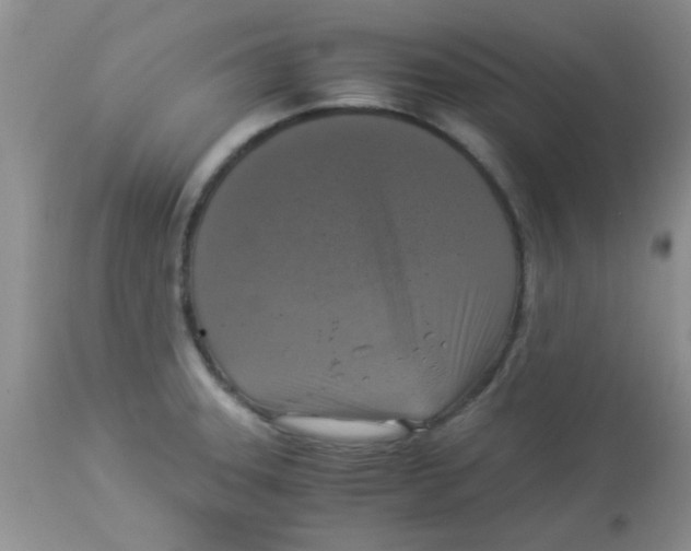 X0000113951331200910231957