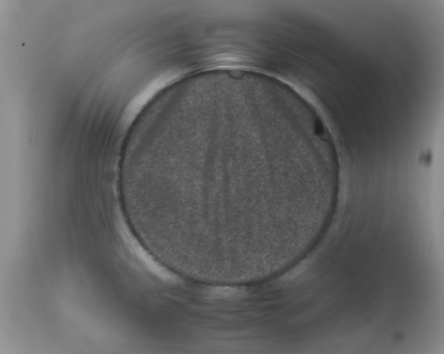 X0000113951333200910231957