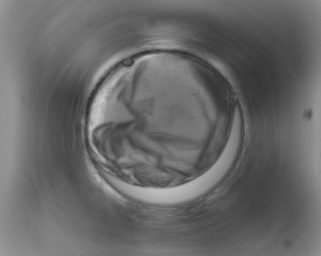X0000113951334200910231957