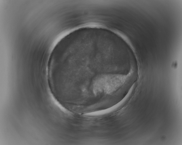 X0000113951335200910231957