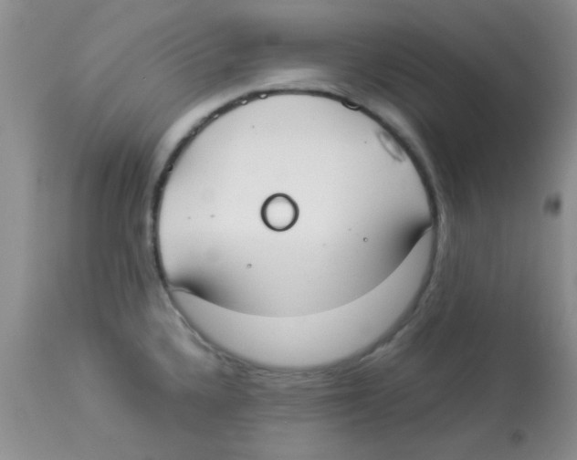 X0000113951336200910231957