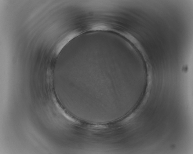 X0000113951337200910231957
