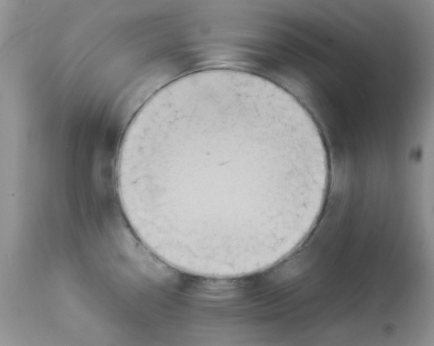 X0000113951338200910231958